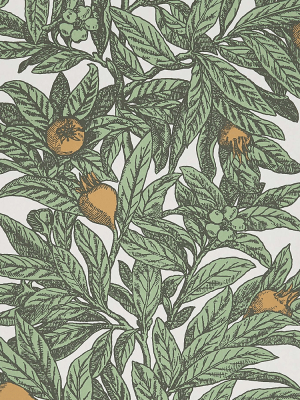 Medlar Wallpaper In Sage And Amber From The Mansfield Park Collection By Osborne & Little