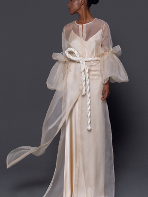 Calamine Silk-organza Gown