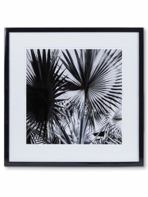 Kelly Hoppen Black & White Palm Leaf - Photography A