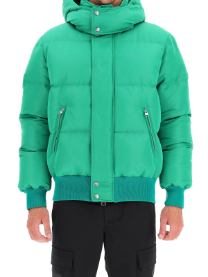 Alexander Mcqueen Padded Jacket