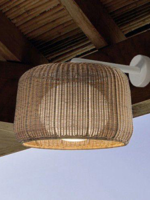 Fora Outdoor Wall Lamp