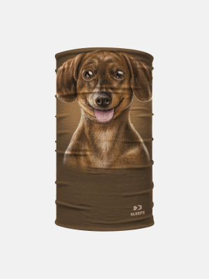 Dachshund Dog Neck Gaiter