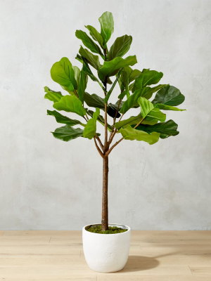 Potted Faux Fiddle Leaf Fig 5'