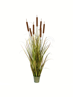 Vickerman 60" Potted Green Grass With Cattails.