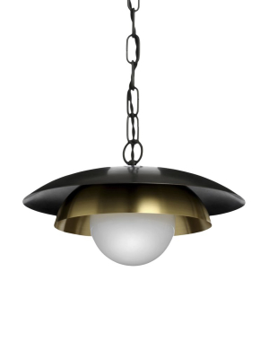 Carapace Ceiling Light With Chain