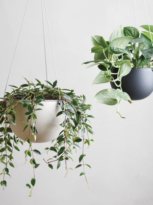 Hanging Plant Pot