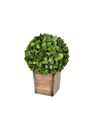 Vickerman Artificial Green Potted Boxwood Ball.