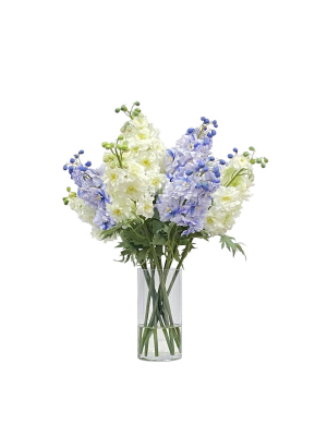 Woodside Delphinium