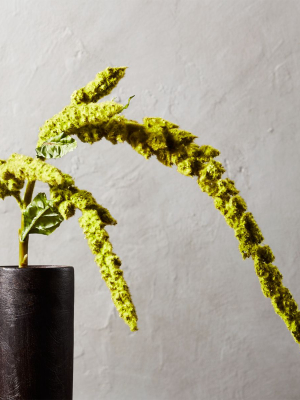 Faux Amaranthus Stem 40"