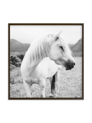 Minted For West Elm - Field Horse