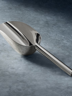 Open Kitchen By Williams Sonoma Stainless Steel Ice Scoop