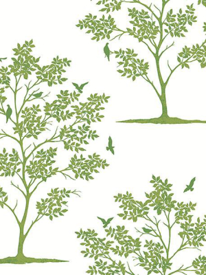 Woodland Green Trees & Birds Wallpaper From The Essentials Collection By Brewster Home Fashions