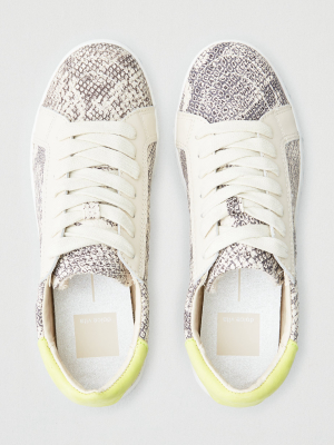 Dolce Vita Nino Sneaker