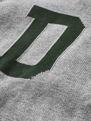 Dartmouth Letter Sweater (gray)