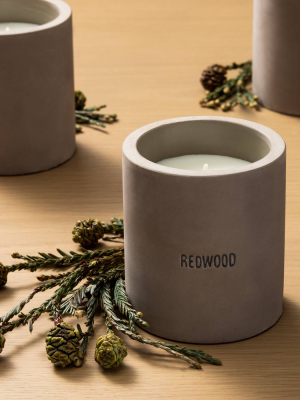 9.3oz Cement Candle Redwood - Hearth & Hand™ With Magnolia