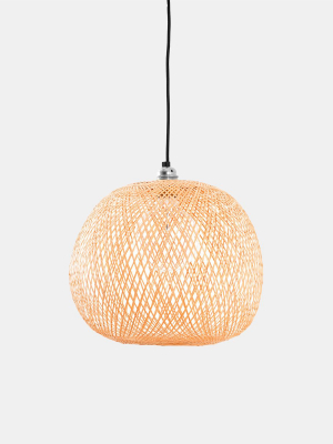 Plum Pendant Light