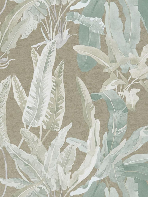 Benmore Wallpaper In Eau De Nil And Gilver From The Ashdown Collection By Nina Campbell For Osborne & Little