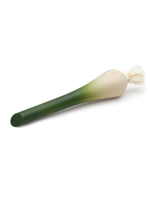 Spring Onion