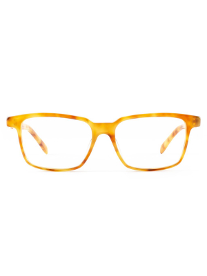 Valencia Optical 03