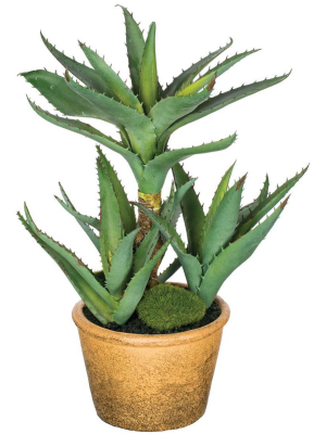 Sullivans Artificial Aloe Potted 12"h Green