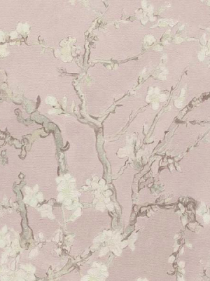 Blush Pink Almond Blossom Bold Floral Wallpaper By Walls Republic