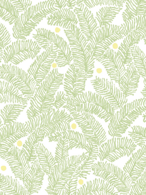 Athina Fern Wallpaper In Sage From The Pacifica Collection By Brewster Home Fashions