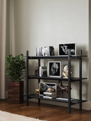 39" Emery 3 Tier Shelf Bookshelf Black - Rst Brands