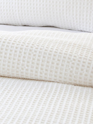 Zuma Blanket Collection In Cream