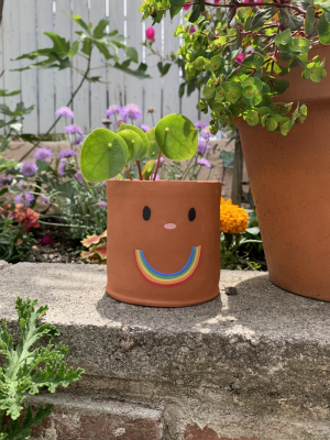 Jarmél By Jarmel Handmade Cutie Planter