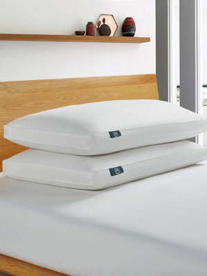 Feather & Down Fiber Side Sleeper Bed Pillow - Serta