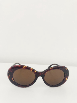 Festival Of Summer Sunglasses In Turtle