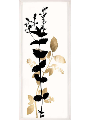 Black And White Herbarium 1 Framed Artwork