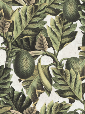 Exotic Fruit I Wallpaper In Green And Grey From The Tropical Vibes Collection By Mind The Gap