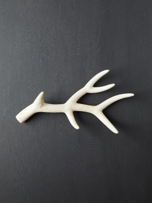 Bleached Wood Antler