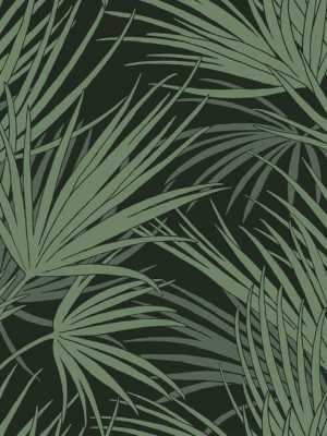 Palmetto Wallpaper In Black And Green From The Silhouettes Collection By York Wallcoverings