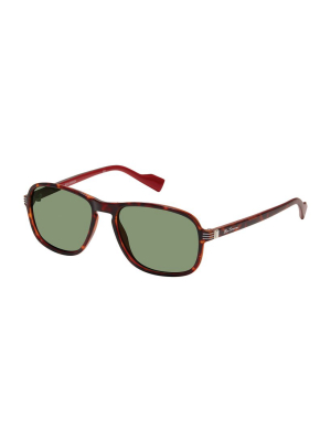 Max Polarized Eco-green Sunglasses - Tortoise