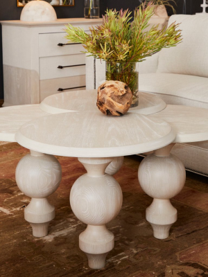 Gabby Coco Coffee Table