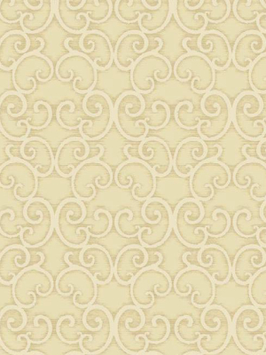 Shadow Scroll Wallpaper In Metallic And Pearlescent By Antonina Vella For York Wallcoverings