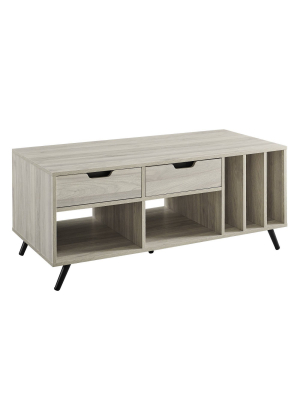 44" 2 Drawer Storage Coffee Table - Saracina Home