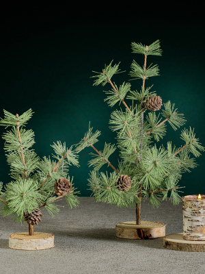 Pine Needle Tree With Pinecones