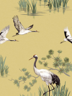 Yellow Cranes In Water Wallpaper By Walls Republic