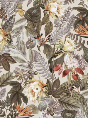 Tropical Flowers Peel & Stick Wallpaper In Beige By Roommates For York Wallcoverings