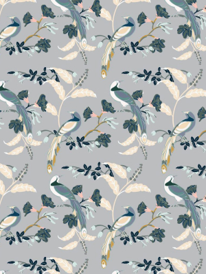 Birds Of Paradise Wallpaper In Grey From The Wallpaper Republic Collection By Milton & King