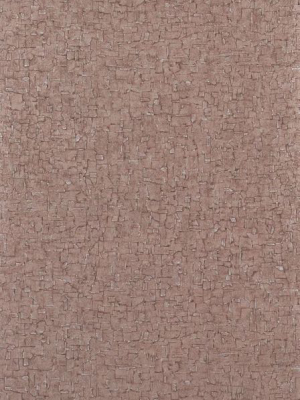 Sample Cambium Wallpaper In Umber From The Lucenta Collection By Osborne & Little