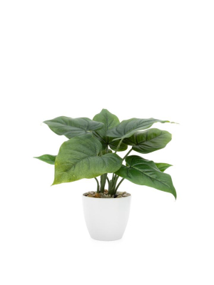 Villa Faux Potted 10" Plant - Calla Leaf