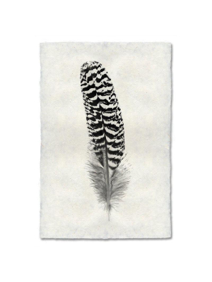 Feather Study #13