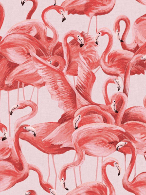 Flamingo Self-adhesive Wallpaper (single Roll) In Cheeky Pink By Tempaper