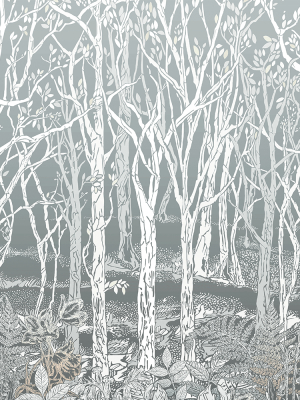 Sample Sylvania Wall Mural In Silver From The Mansfield Park Collection By Osborne & Little