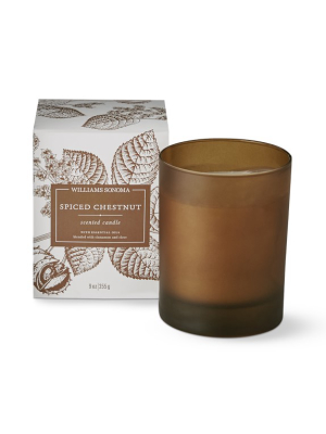 Williams Sonoma Spiced Chestnut Candle