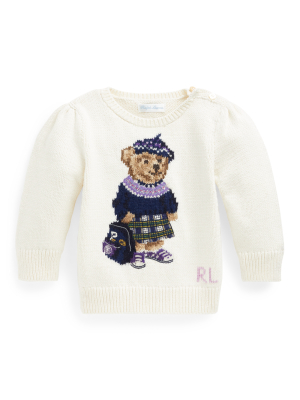 Polo Bear Sweater